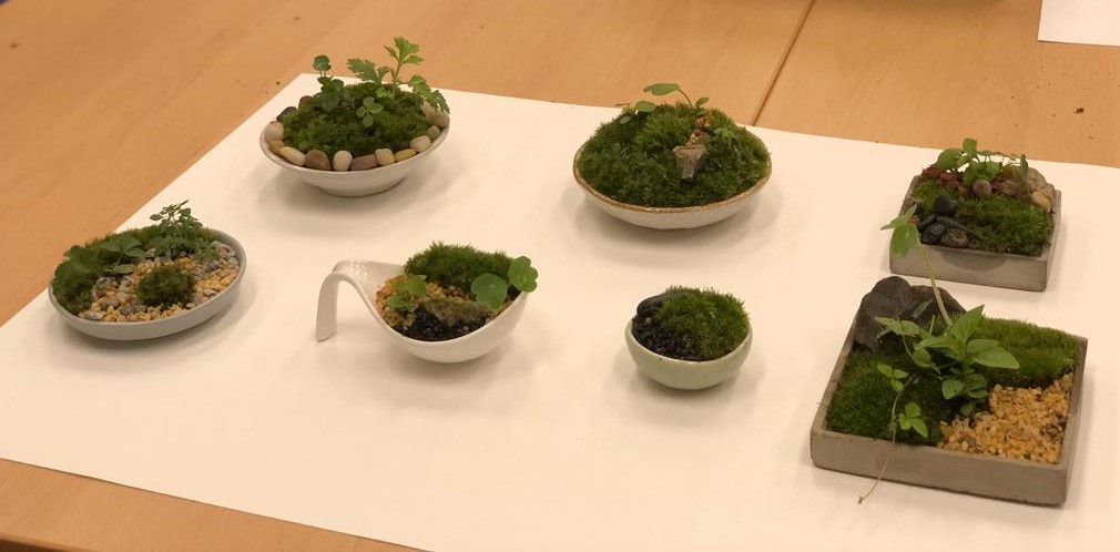 MiniMoss