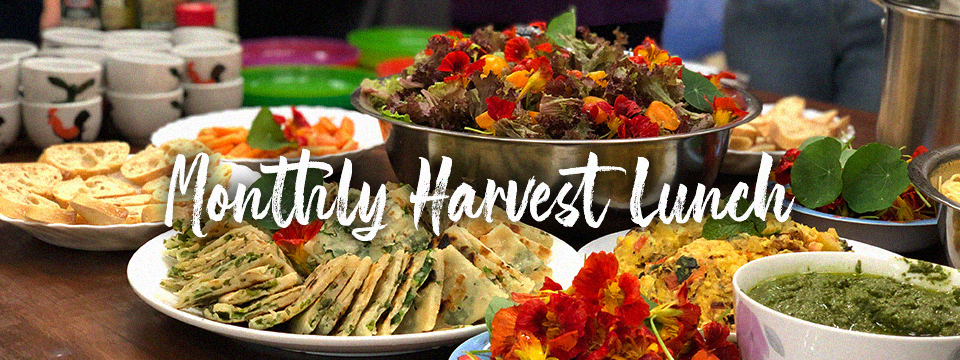Monthly Harvest Lunch