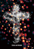 Science and Religion
