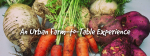 An Urban Farm-to-Table Experience