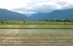 Good Soils, Good Eats, Good Future