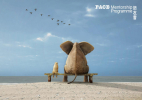 F:A:C:E: Mentorship Programme