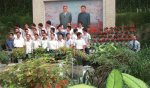 Inside Stories from North Korea