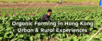 Organic Farming in Hong Kong – Urban and Rural Experiences