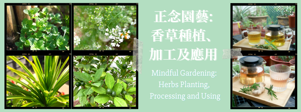 Mindful Gardening: Herbs Planting, Processing and Using
