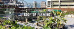 Rooftop Farming: Fundamentals and Special Enrichments