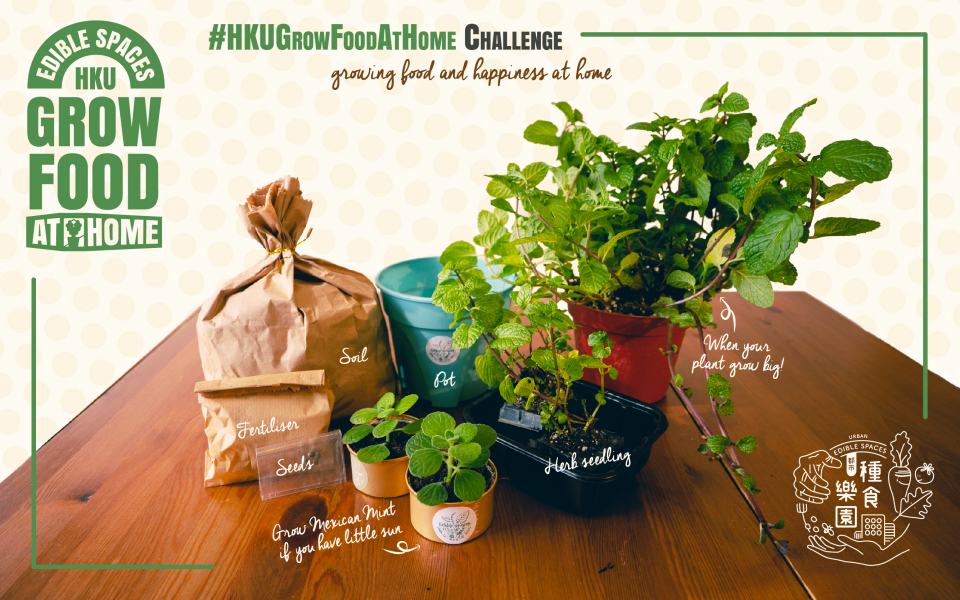 #HKUGrowFoodAtHome Challenge 