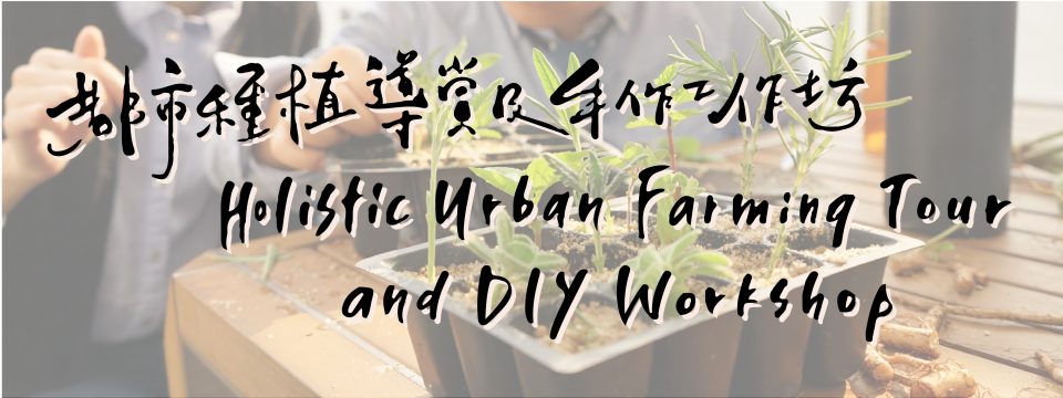 Holistic Urban Farming Tour and DIY Workshop 