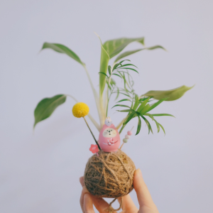 Kokedama workshop