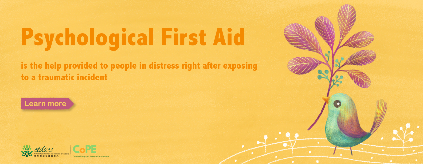 Psychological First Aid