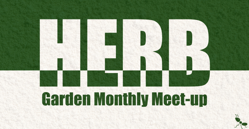 Herb Garden Monthly Meet-up